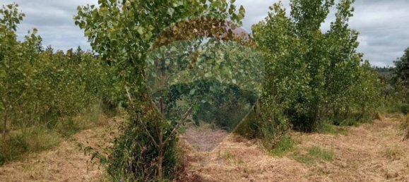 Grundstück in Beco, Portugal 1880m², Nr. 73037 7