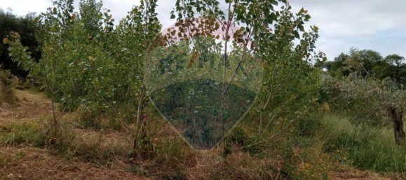 Grundstück in Beco, Portugal 1880m², Nr. 73037 4