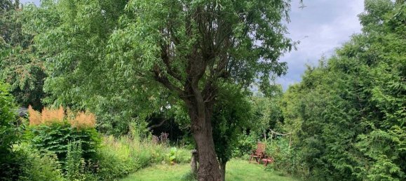 7 rooms House in Vorpommern-Rugen, Germany No. 188611 8