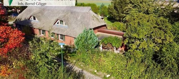 7 rooms House in Vorpommern-Rugen, Germany No. 188611 10