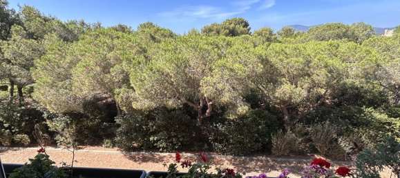 Studio in La Seyne-sur-Mer, France No. 337884 5