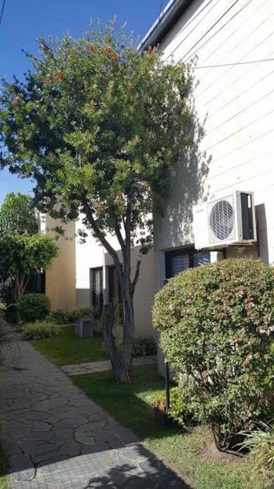 Studio in San Miguel, Argentina, Nr. 101250