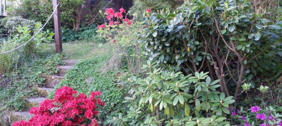 2 bedrooms House in Kaiserslautern, Germany No. 301131 14