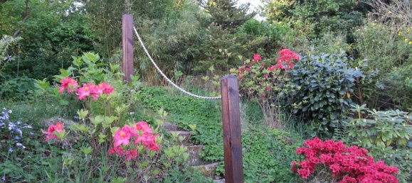 2 bedrooms House in Kaiserslautern, Germany No. 301131 13