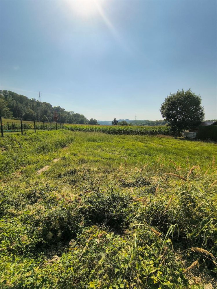 Terreno em Wallsee-Sindelburg, Austria N.º 226426