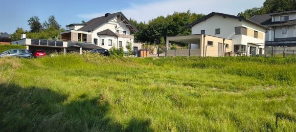 Terreno em Wallsee-Sindelburg, Austria N.º 226426 5