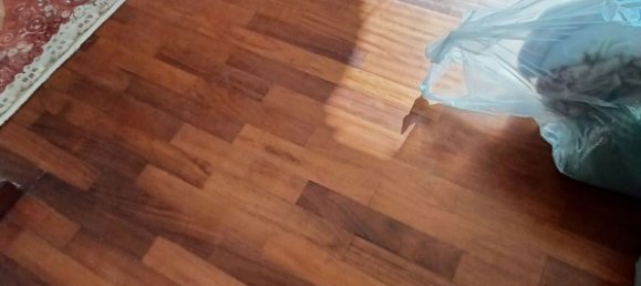 Estudio en Trezzano sul Naviglio, Italy No. 318506 31