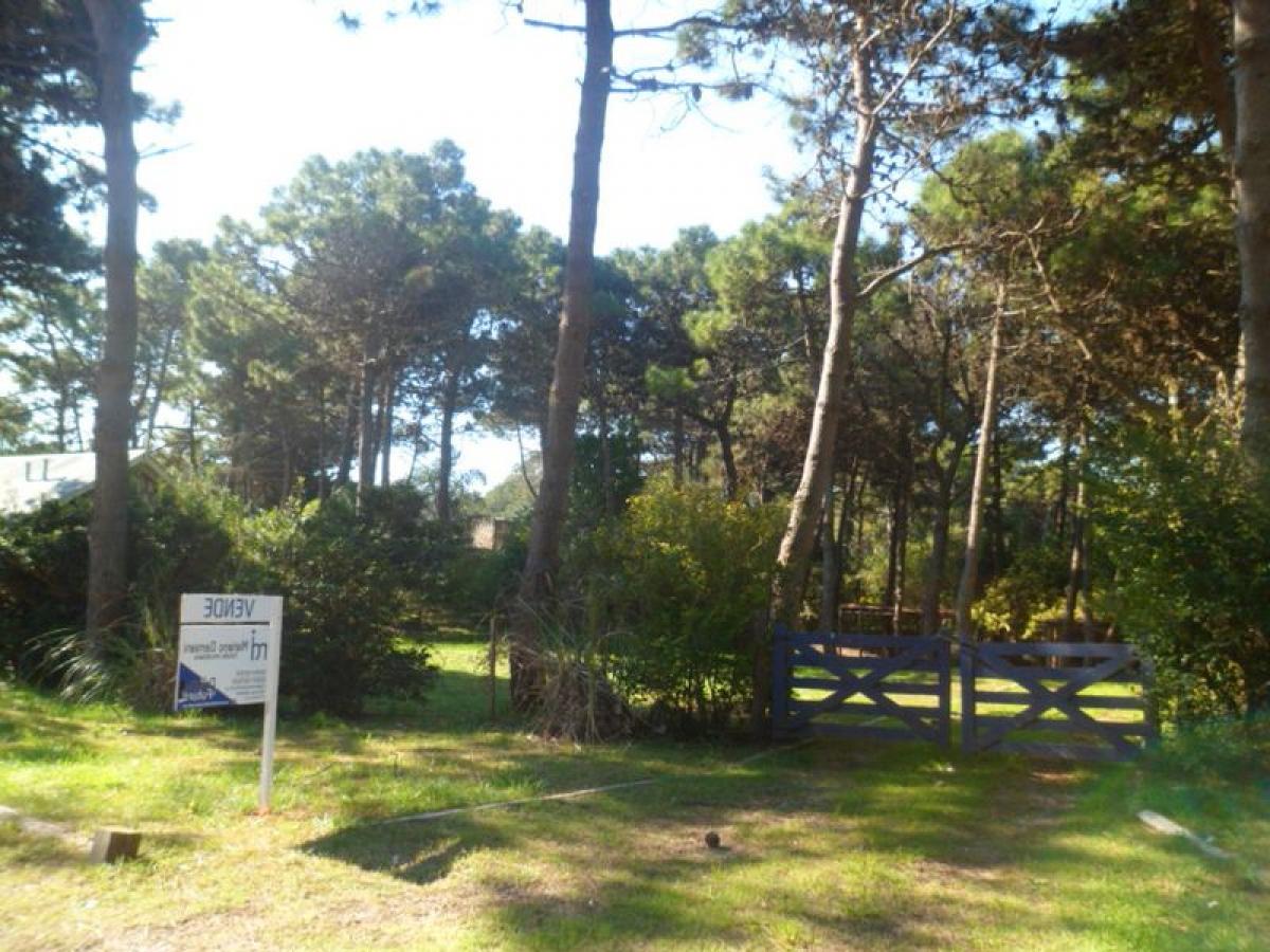  Land in Mar del Plata, Argentina No. 115809