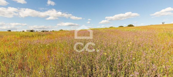 1 غرف نوم منزل في Nossa Senhora de Machede, Portugal رقم 95783 21