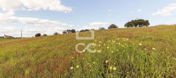 1 غرف نوم منزل في Nossa Senhora de Machede, Portugal رقم 95783 34