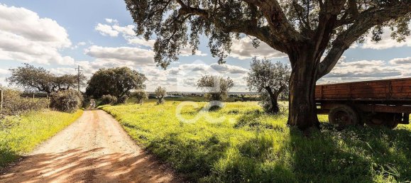 1 غرف نوم منزل في Nossa Senhora de Machede, Portugal رقم 95783 40