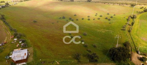 1 غرف نوم منزل في Nossa Senhora de Machede, Portugal رقم 95783 12