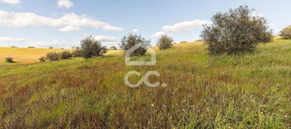 1 غرف نوم منزل في Nossa Senhora de Machede, Portugal رقم 95783 19