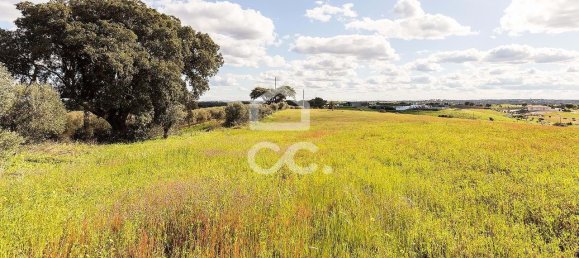 1 غرف نوم منزل في Nossa Senhora de Machede, Portugal رقم 95783 30