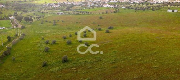 1 غرف نوم منزل في Nossa Senhora de Machede, Portugal رقم 95783 43