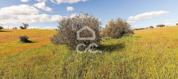 1 غرف نوم منزل في Nossa Senhora de Machede, Portugal رقم 95783 18