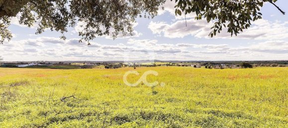 1 غرف نوم منزل في Nossa Senhora de Machede, Portugal رقم 95783 2