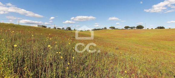 1 غرف نوم منزل في Nossa Senhora de Machede, Portugal رقم 95783 17