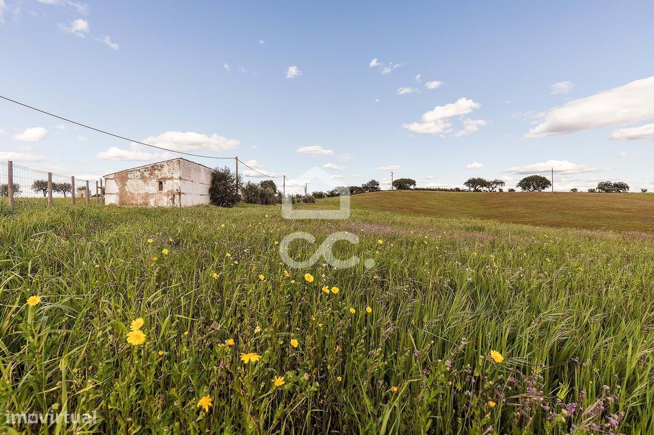 1 غرف نوم منزل في Nossa Senhora de Machede, Portugal رقم 95783