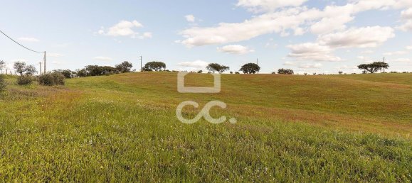 1 غرف نوم منزل في Nossa Senhora de Machede, Portugal رقم 95783 37