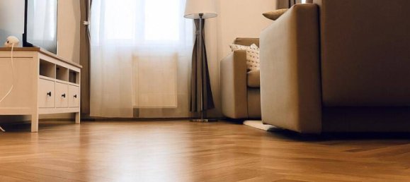 1 bedroom Apartment in Leopoldstadt, Austria No. 250639 3