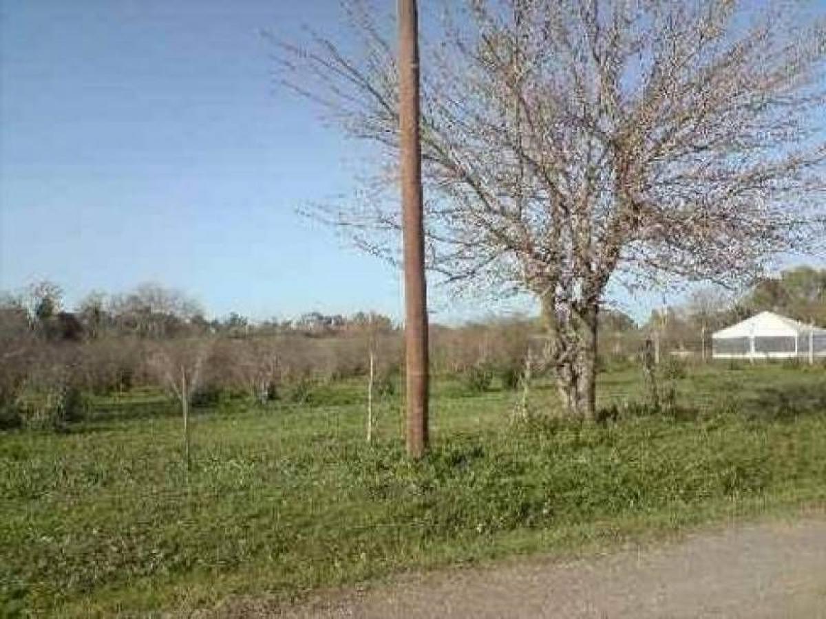 Terreno em Berazategui, Argentina N.º 47182