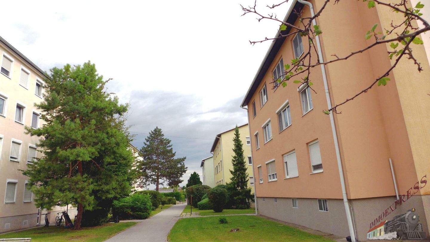 3-salle Appartement à Bruck an der Leitha, Austria No. 248639