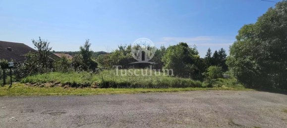 1580m² Land in Remoiville, France No. 95435 4