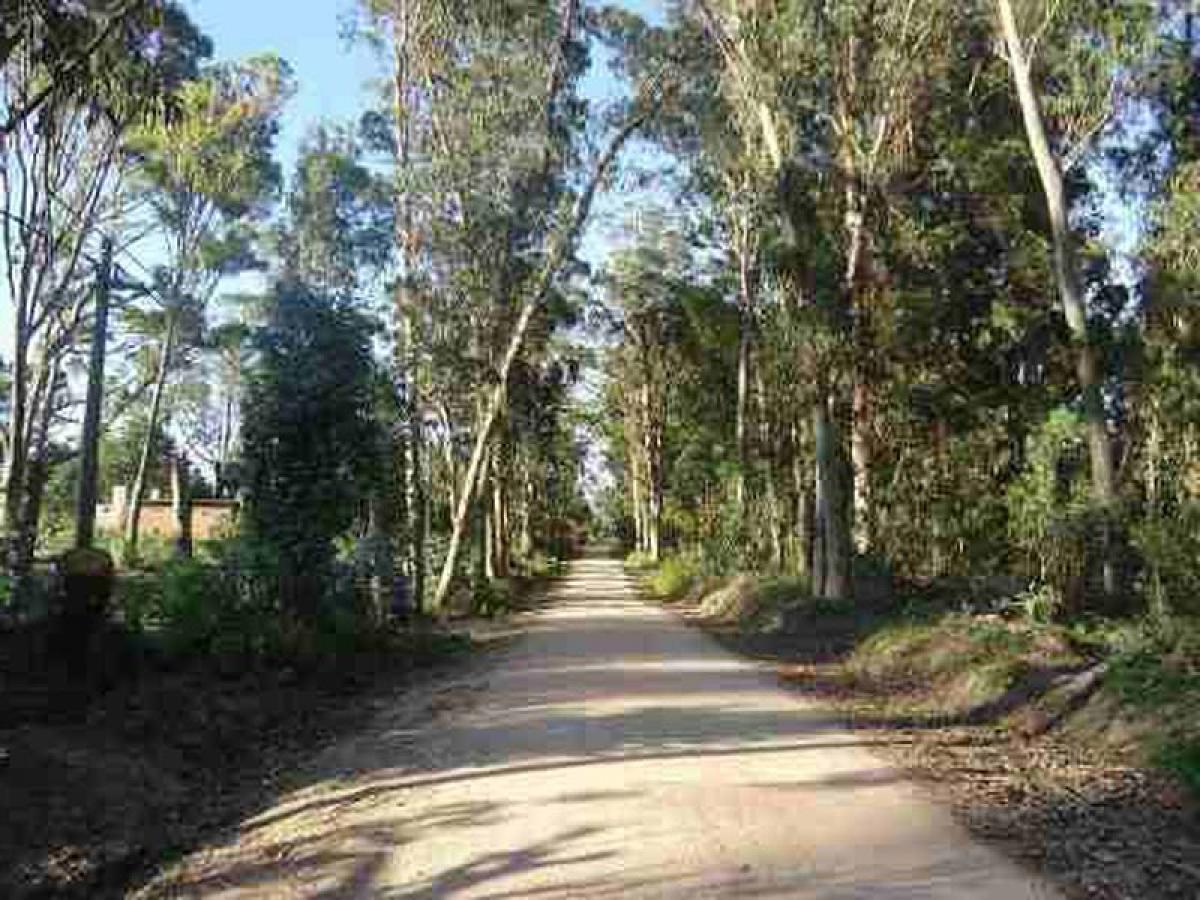  Land in Maldonado, Uruguay No. 16118