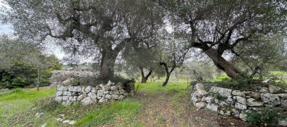 7 rooms House in Monopoli, Italy No. 30768 21