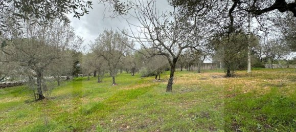 7 rooms House in Monopoli, Italy No. 30768 23