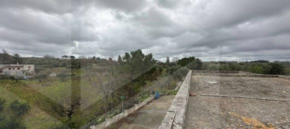 7 rooms House in Monopoli, Italy No. 30768 28