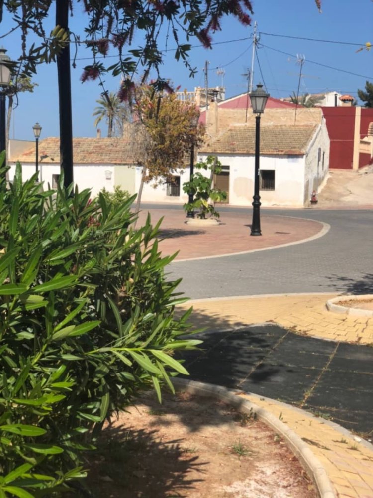 3 bedrooms Townhouse in San Miguel de Salinas, Spain No. 189498