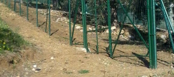 Terrain à Casteldaccia, Italy No. 325538 2