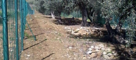 Terrain à Casteldaccia, Italy No. 325538 3