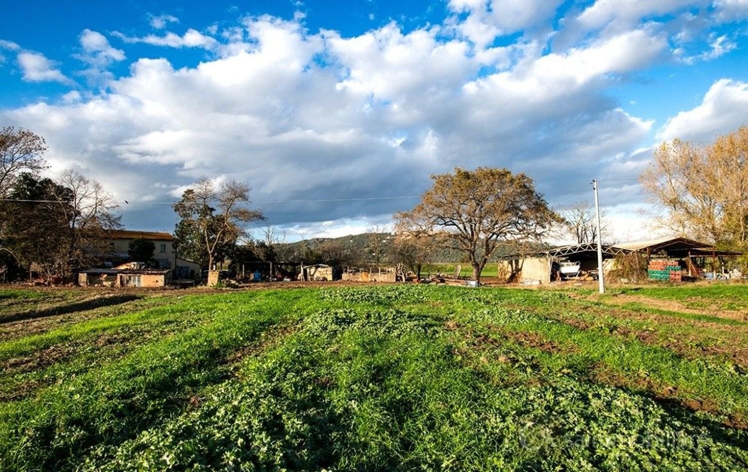 10 Schlafzimmer Haus in Castiglione della Pescaia, Italy, Nr. 346308
