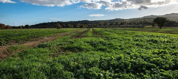 10 Schlafzimmer Haus in Castiglione della Pescaia, Italy, Nr. 346308 3