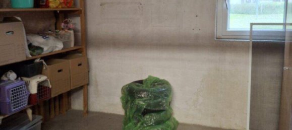 Apartamento de 2 habitaciónes en Neuhofen an der Krems, Austria No. 191102 10