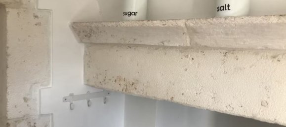 2-Zimmer Haus in Locorotondo, Italy, Nr. 268674 23