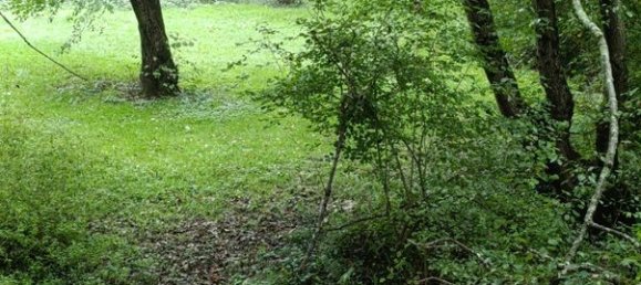 Casa de 8 habitaciónes en Vicq-sur-Nahon, France No. 39084 2