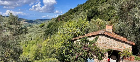 5غرفة قطعة أرض في Pisa, Italy رقم 23340 12