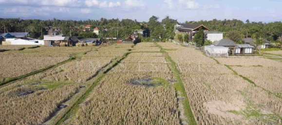  Land in Ubud, Indonesia No. 36 2