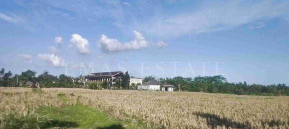  Land in Ubud, Indonesia No. 36 10