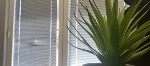 Bureau à Cecina, Italy 43m² No. 155360 19