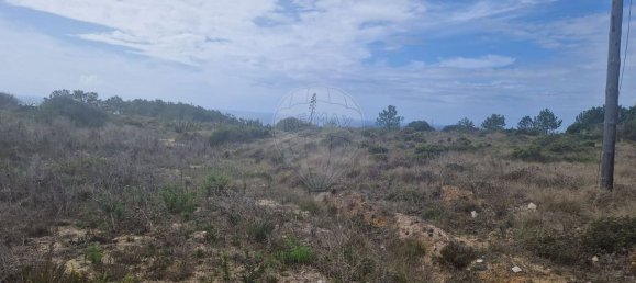 14600m² Land in Sintra, Portugal No. 76923 3