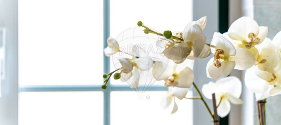 4 bedrooms House in Ericeira, Portugal No. 177043 36