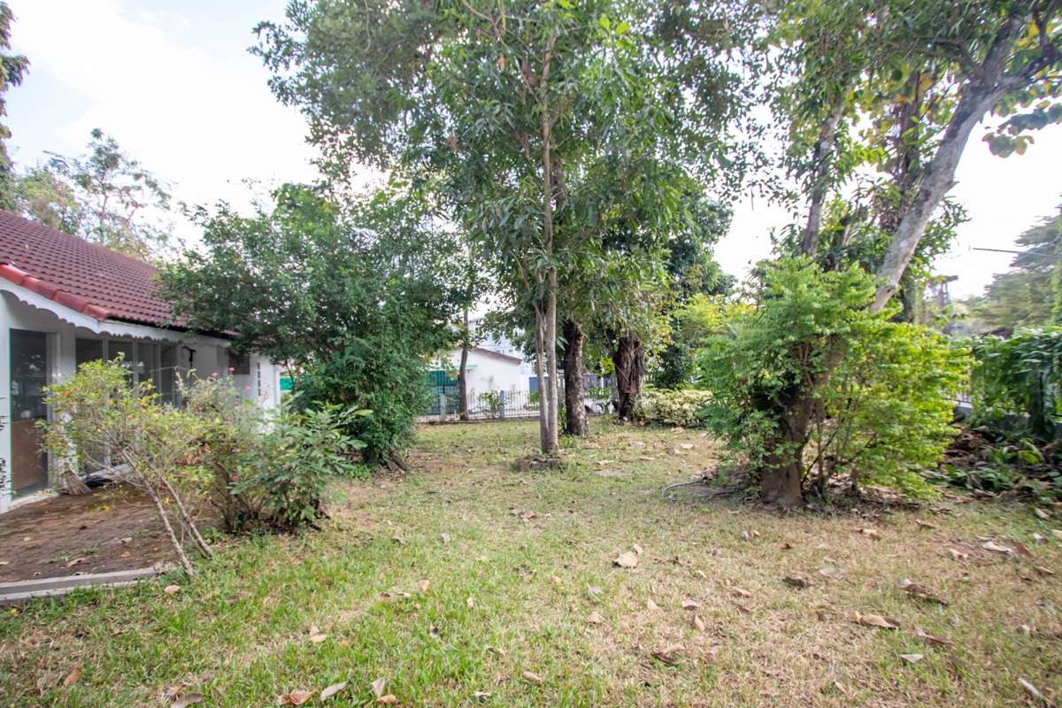 Land in Chiang Mai, Thailand No. 26953