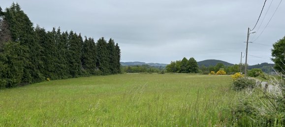 5529m² Land in Saint-Yrieix-le-Dejalat, France No. 110485 3