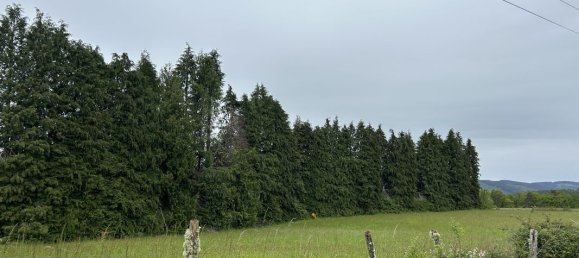 5529m² Land in Saint-Yrieix-le-Dejalat, France No. 110485 2