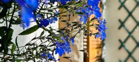 6 غرف نوم فيلا في Merlimont, France رقم 219177 11